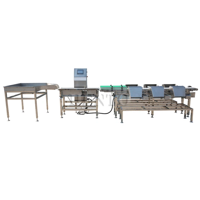 Chicken Grading Machine by Weight
