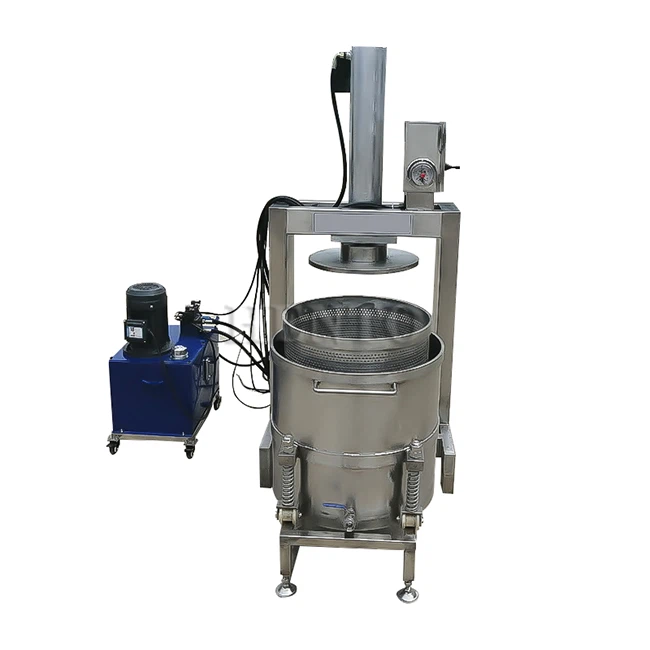 Watermelon Cold Press Juicer Machine