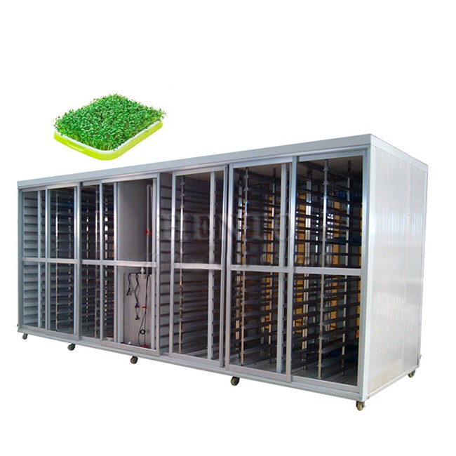 Семена прорастает оборудование